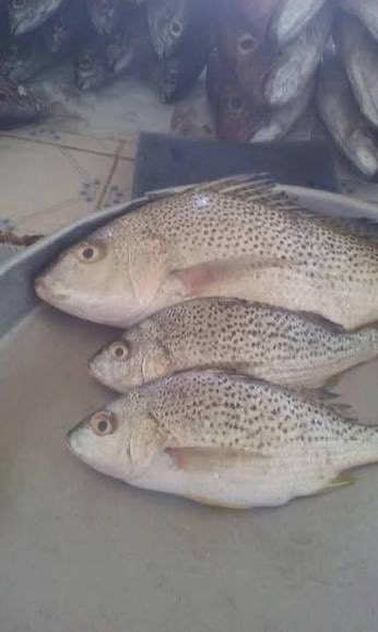 الهوية الوطنية.. بين القبوط وعين النقرور! 
حسين الراوي

لكل بلدٍ ملامحه المميزة؛ فالشخصية المصرية تُعرف بخفّتها، والفلسطينية بصبرها وشجاعتها، والعُمانية بهدوئها واتزانها، والموريتانية بفصاحتها وبيانها، والسورية بشطارة تجارتها، واللبنانية بمزاجها. لكل أمةٍ نكهةٌ خاصة تُكوّن