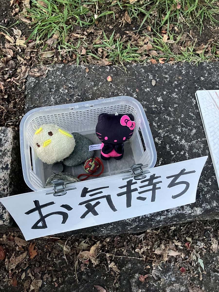 はるちゃん (@harucafe888) / Posts / X