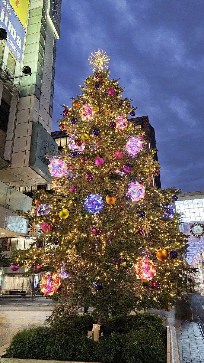 吉祥寺の別のクリスマスツリー。綺麗です。まだ11月だけど気分上がる。