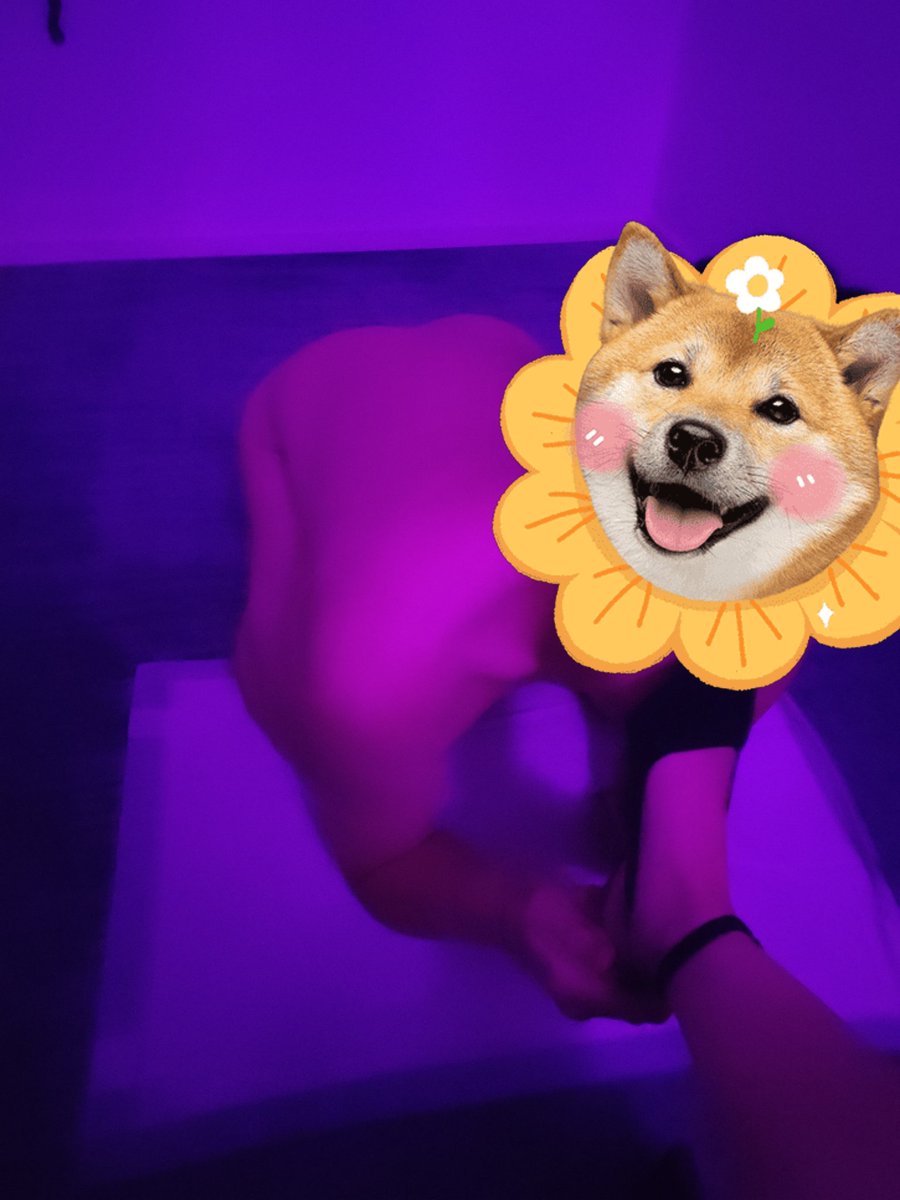 曦禾S(可情侣) tweet media