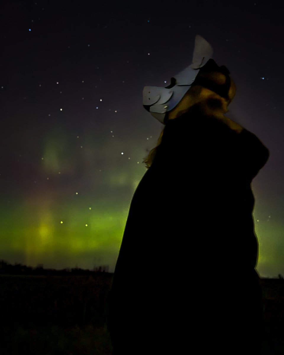 FaunacatAD's tweet photo. The sky is beautiful tonight ❤️

#Aurora #pupplay https://t.co/luuXP89JNL