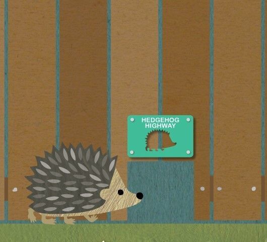 It's #WorldKindnessDay &amp; we'd love you to tell us one kind thing you do for #hedgehogs in your neighbourhood!

🫶 🦔 🏘️