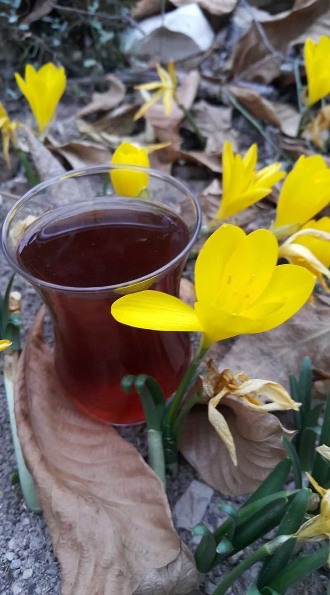 Cüssesi büyük olabilir ama
Herkes, sana yaslanacağın
 Bir dağ olamaz.
#Persembe