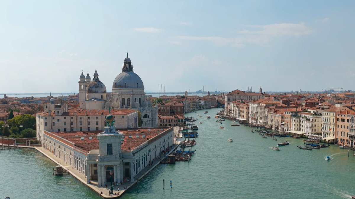 ベネチア大好き 2025年NEW☆八重咲きオステオスペルマム「ベネチア」byゲブラナガトヨ