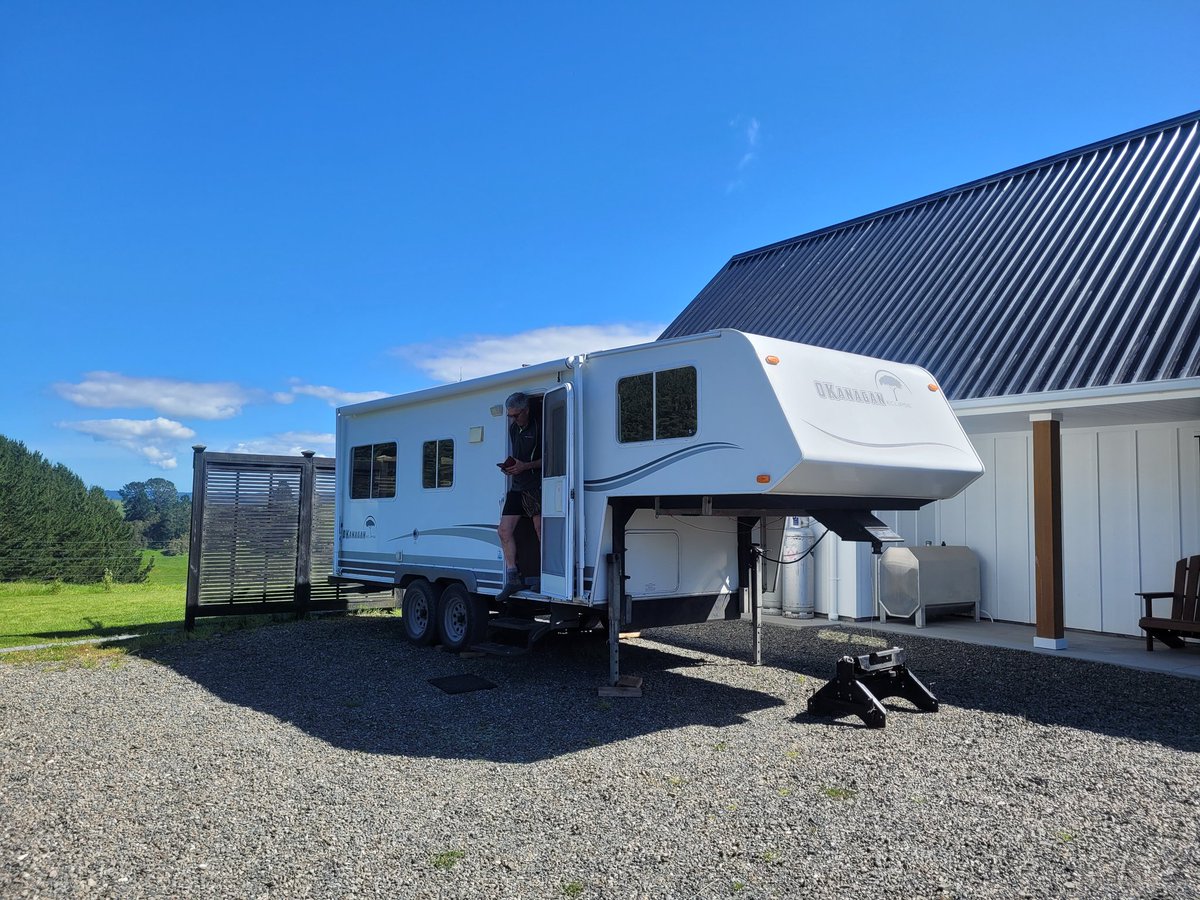 Tesha 🇳🇿 tweet media