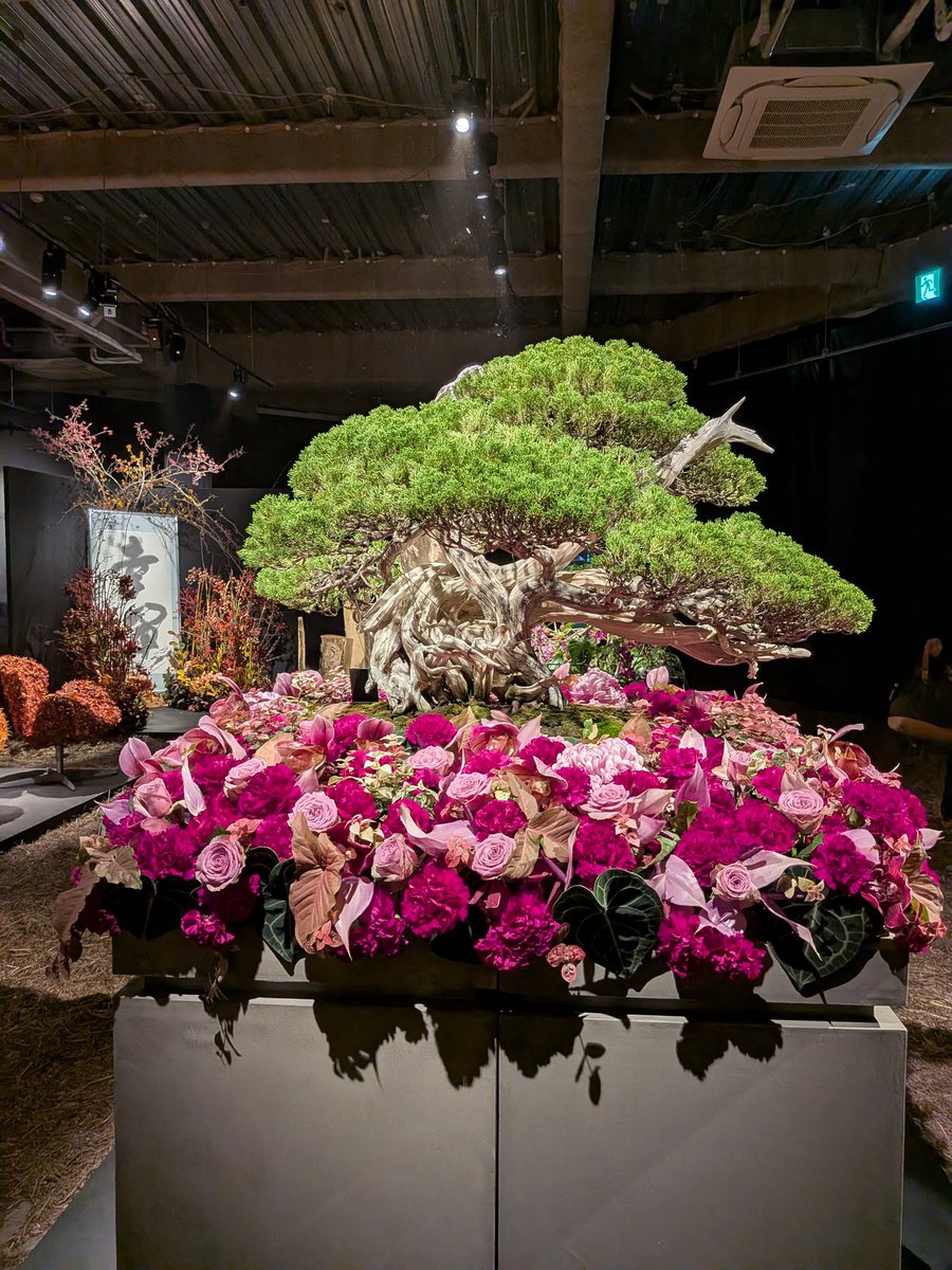 伝活】現在、明治神宮前で開催中のニコライ・バーグマンのフラワー