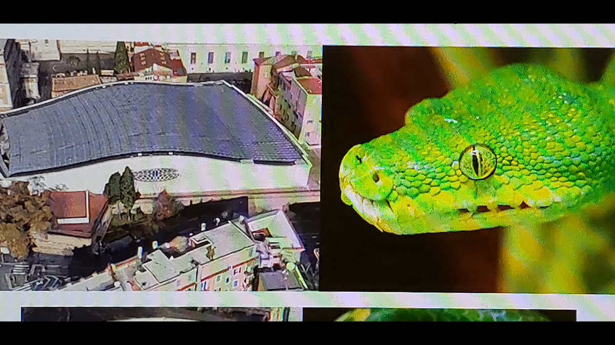 Year of the Snake 2025: Will the Snake's true identity be revealed? 🤔