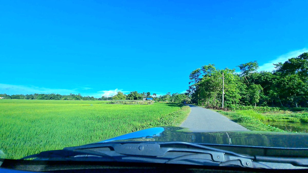 MithingaKumar's tweet photo. On one side, the beautiful scenery of the fields,On the other, the dense shade of the trees.This road that passes through the middle,Feels like a journey to paradise.#villagelife #NaturePhotography #natural #NatureBeauty https://t.co/TeKpVEPqeF