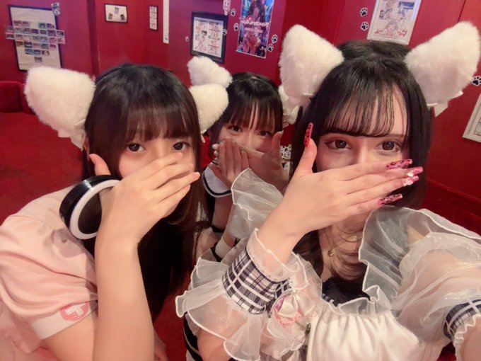 猫耳コンカフェC4のツイート