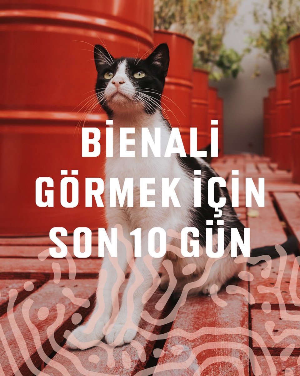 İstanbul Bienali tweet media