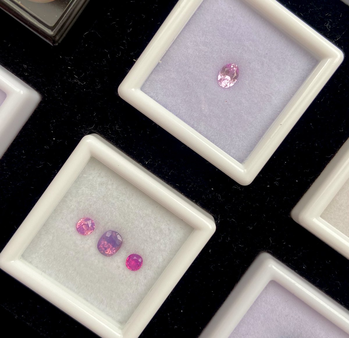 핑크 친구들🌷