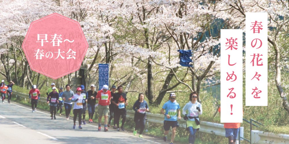 RUNNETJP's tweet image. 水仙、梅、つばき、桜、藤の花･･･
春は季節の移ろいとともに花の変化も楽しめます🌸

そんな春の「お花見ラン」が楽しめる大会はこちら！
runnet.jp/racematome/251…