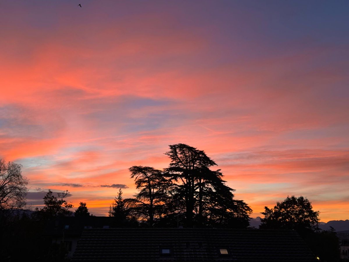 Jeremy Farrar tweet media