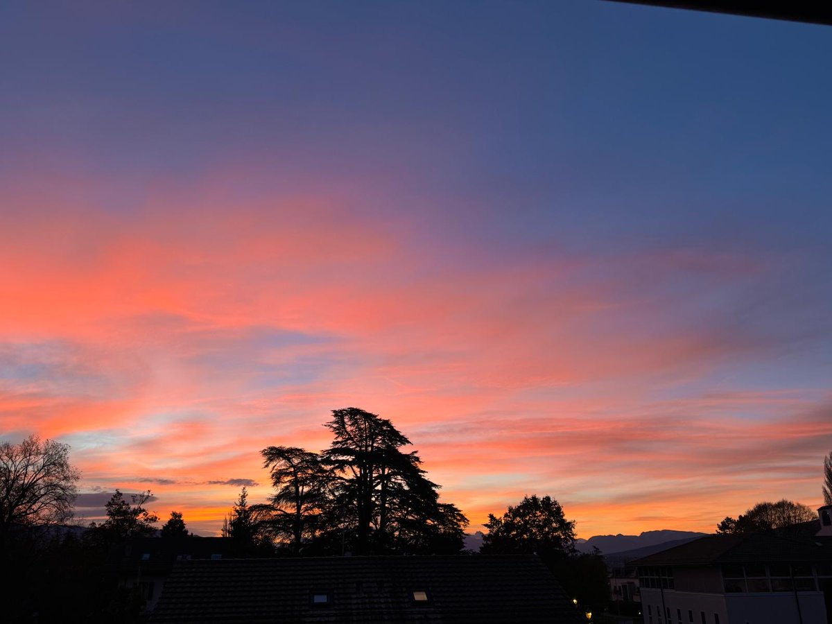 Jeremy Farrar tweet media