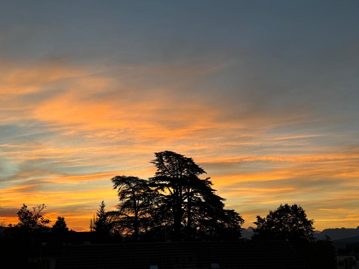 Jeremy Farrar tweet media