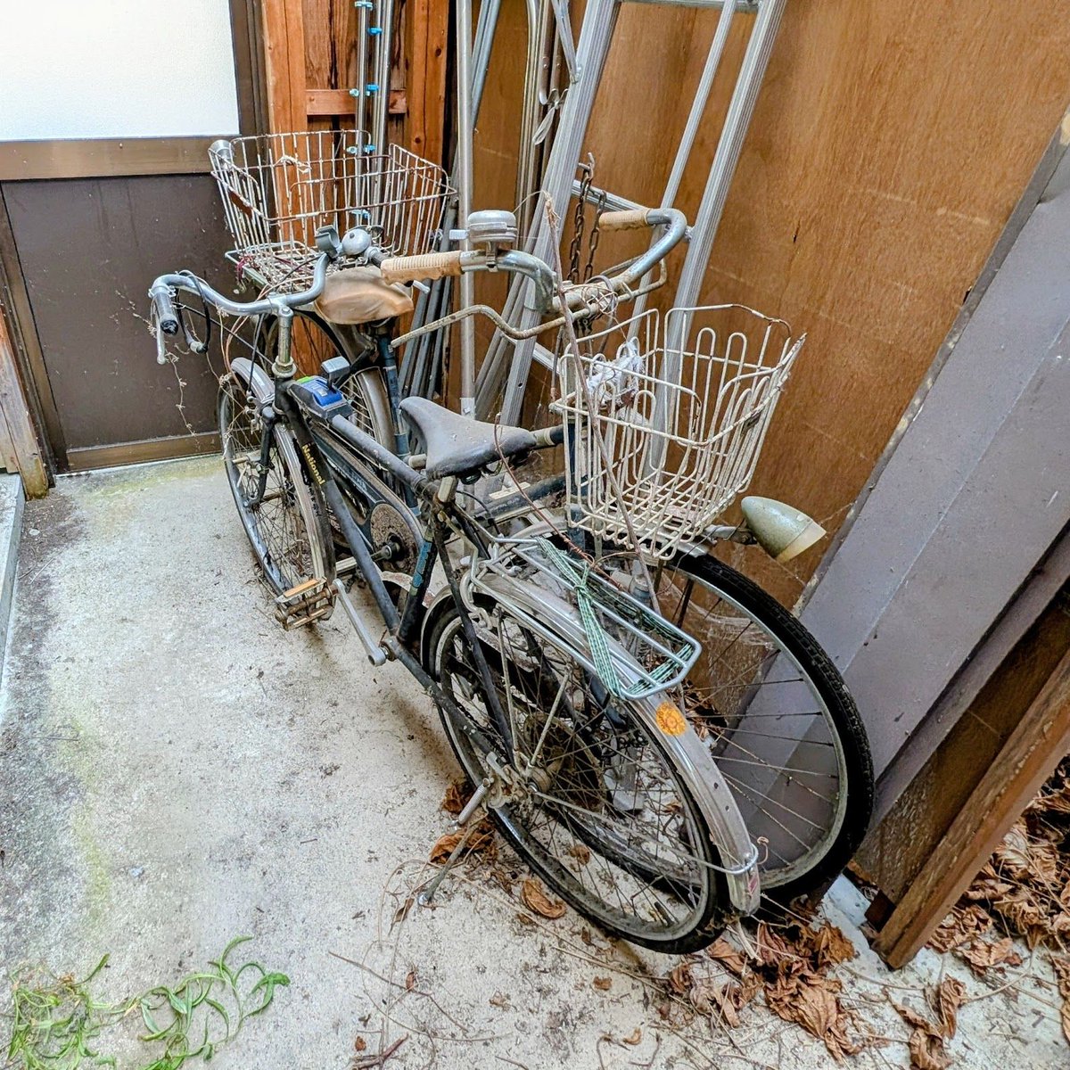 つぼ自転車 オオフジツボ西日本ツアーが終わって、東京に帰ると思いきや、一人再び