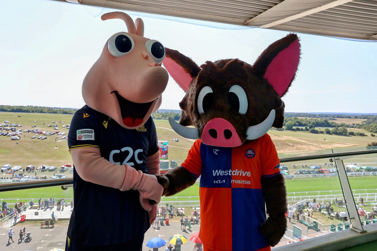 Im going on a road trip to meet Buddy........ who's going to the football boxing day ?