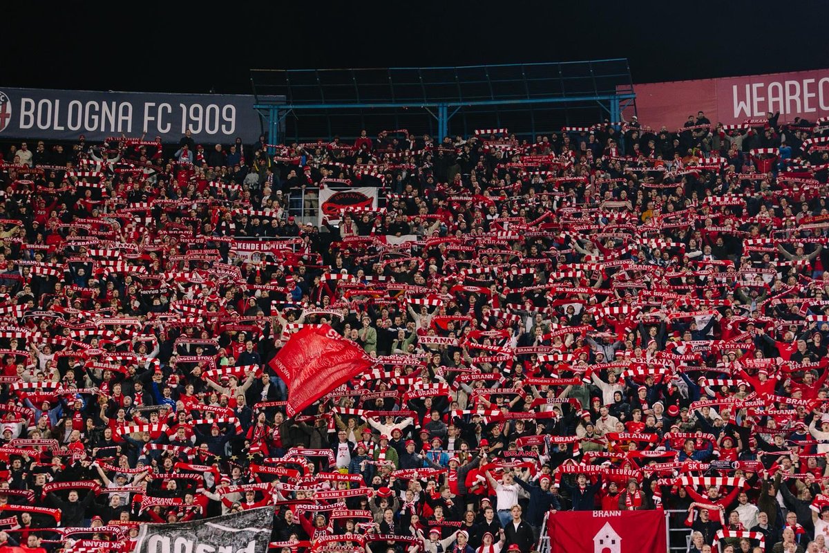 Nanaboakye_3's tweet image. I won't say I am the king of the Jungle but I survived it