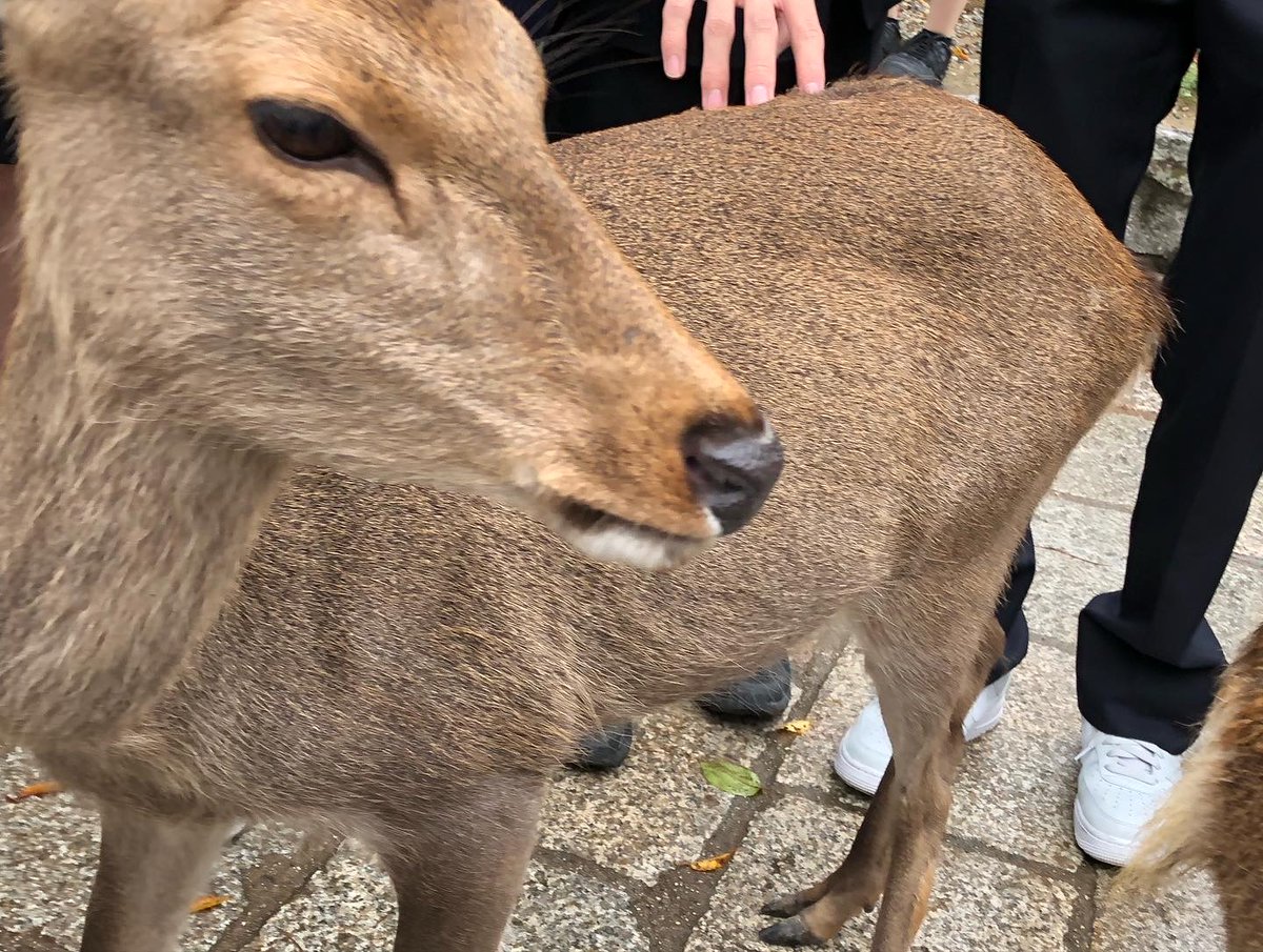 #実は気になってるけどきっかけが無いから話しかけられないですって人から唐突にリプが飛んできたら嬉しいなっていうタグ

便乗してみよ〜っと…