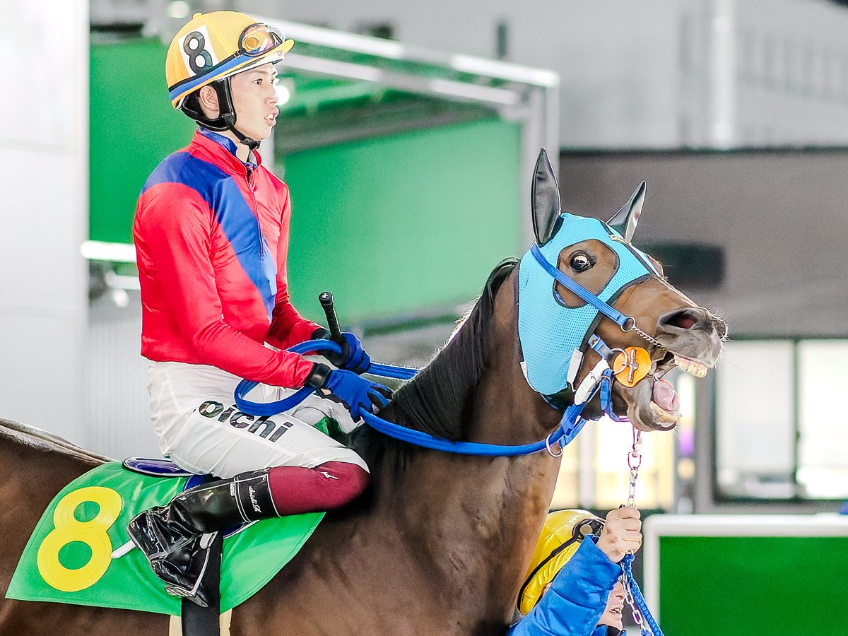 フォーエバーヤングさんのレーティングにニューヤンキーちゃんも