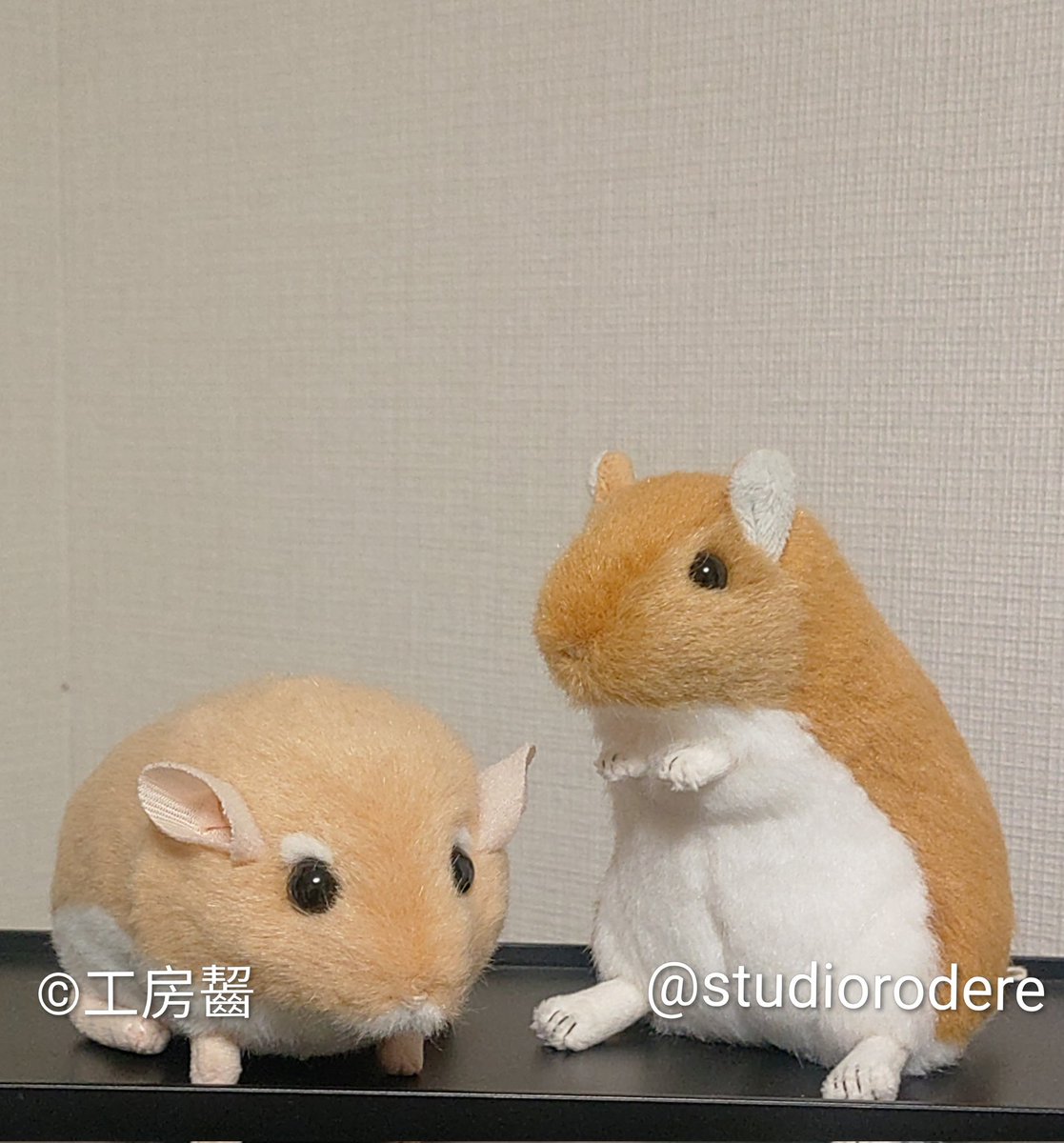 チームアレチネズミ亜科。
ファットテールジャービルとジャービル。

実はどちらも分類上はジャービル(gerbil=アレチネズミ属)ではない件についてw