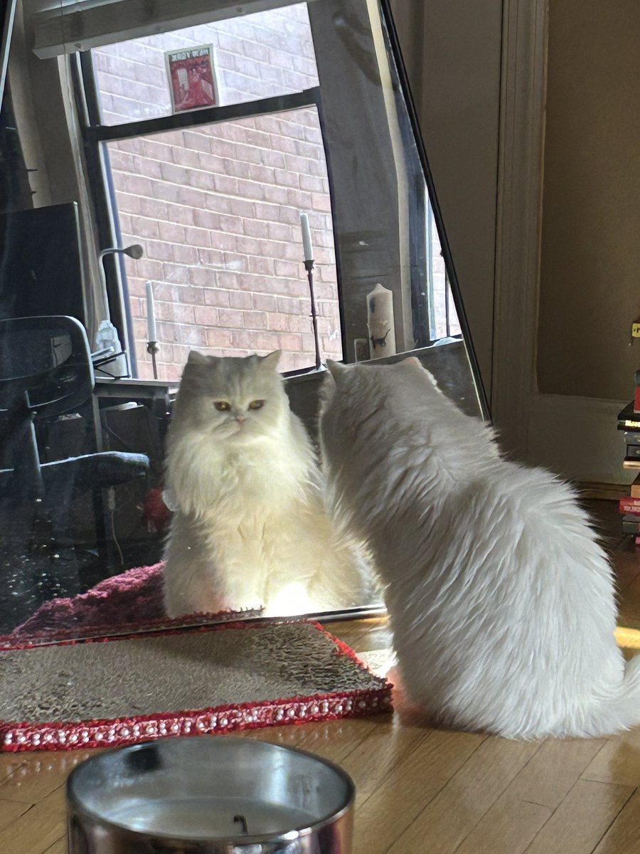 d1v1n3yay's tweet image. Who am i ……