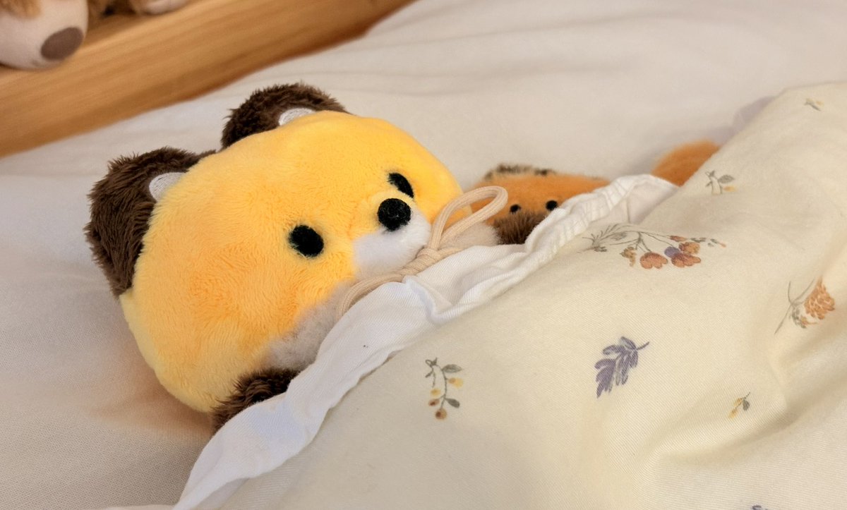 狐仙人乃弟子 トコノ オルタ (@ttt_zegu952) / Posts / X