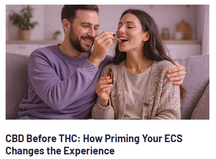 Canavapecbd's tweet photo. Oh no it doesn't... Oh yes it does! Have you tried #CBD before the devils lettuce? 😅 Find out more below...

https://t.co/4qasmiGtu1 https://t.co/rvnocUBXI0