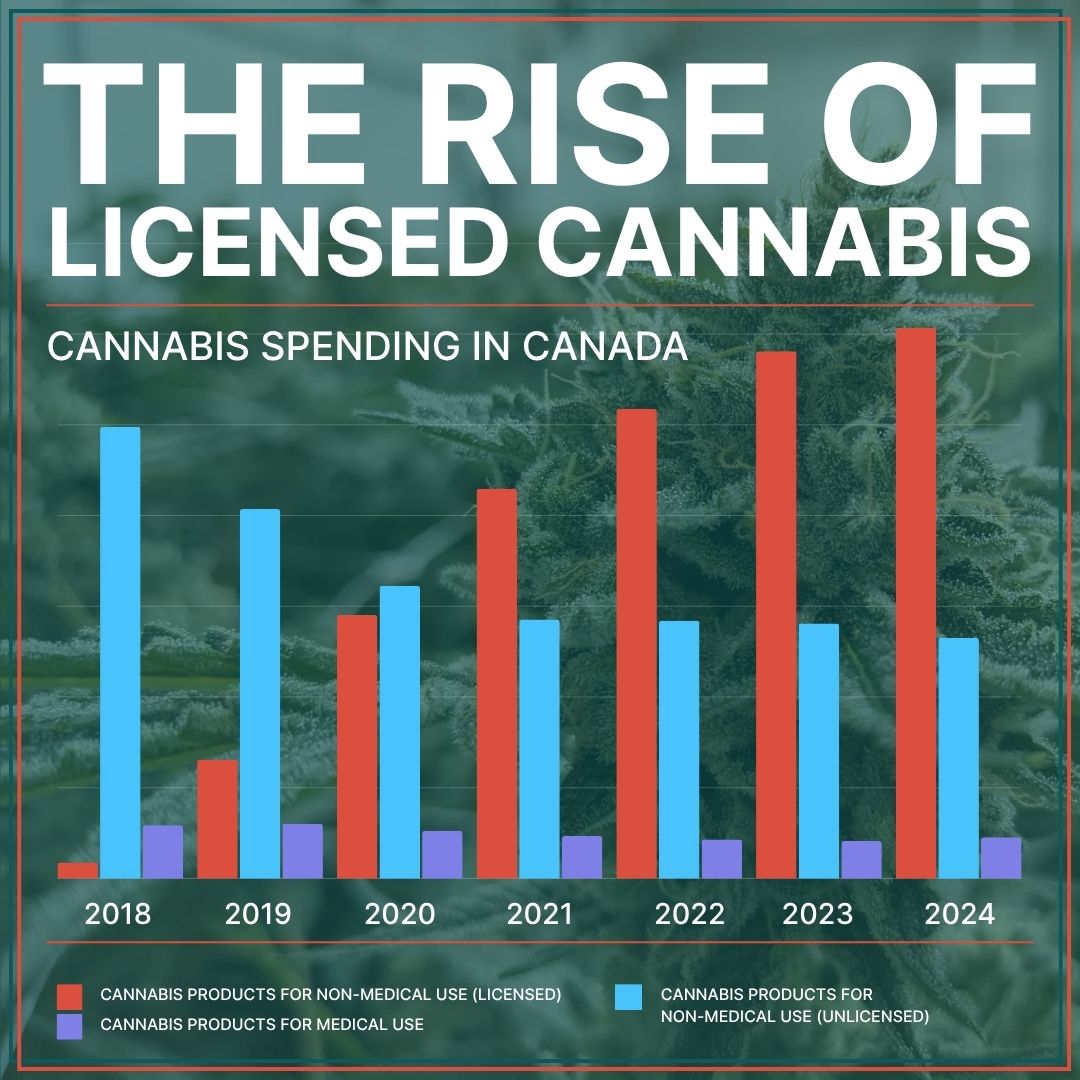 Legal cannabis is booming in Canada! $6B in spending last year, with unlicensed sales steadily fading to $2.6B.