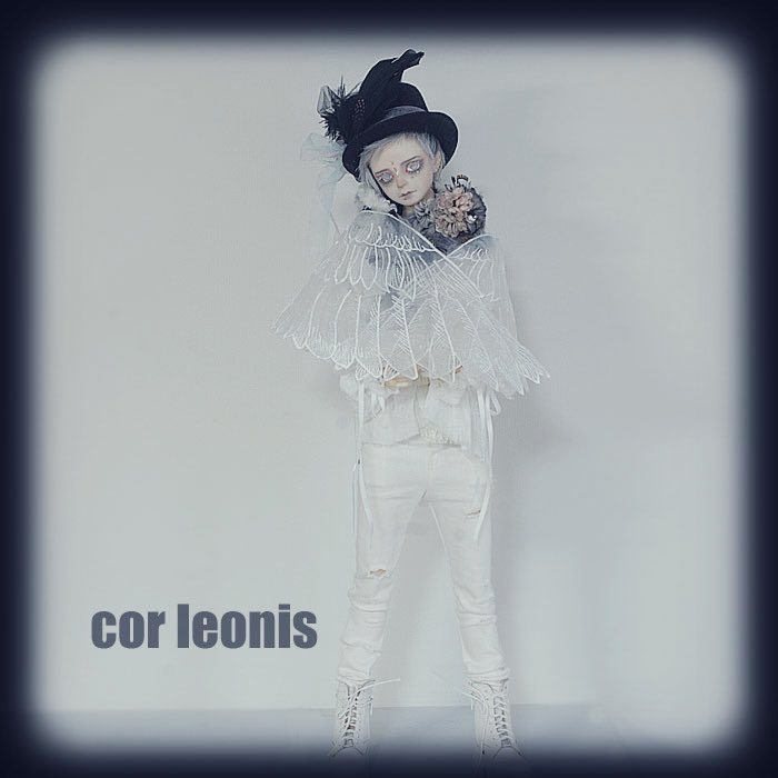 🐈𝖒𝖔𝖒𝖔𝖌𝖆 🐈 (@momo723215) / Posts / X