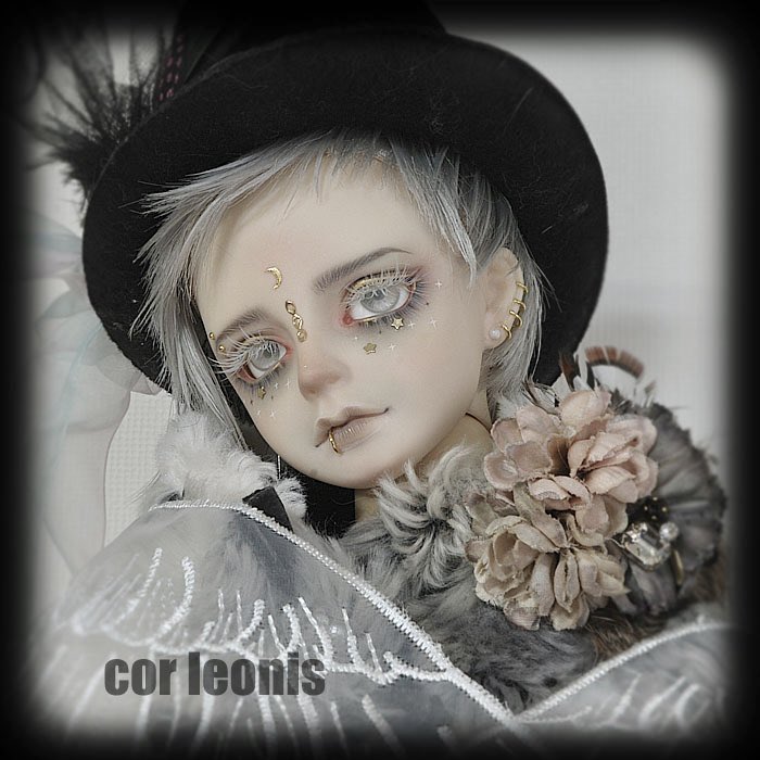 🐈𝖒𝖔𝖒𝖔𝖌𝖆 🐈 (@momo723215) / Posts / X