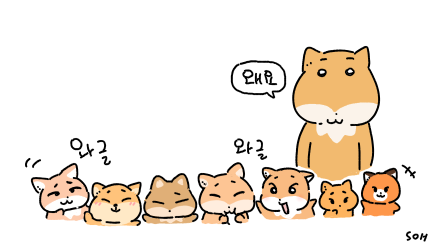 보니 (@soo_happened) on Twitter photo 