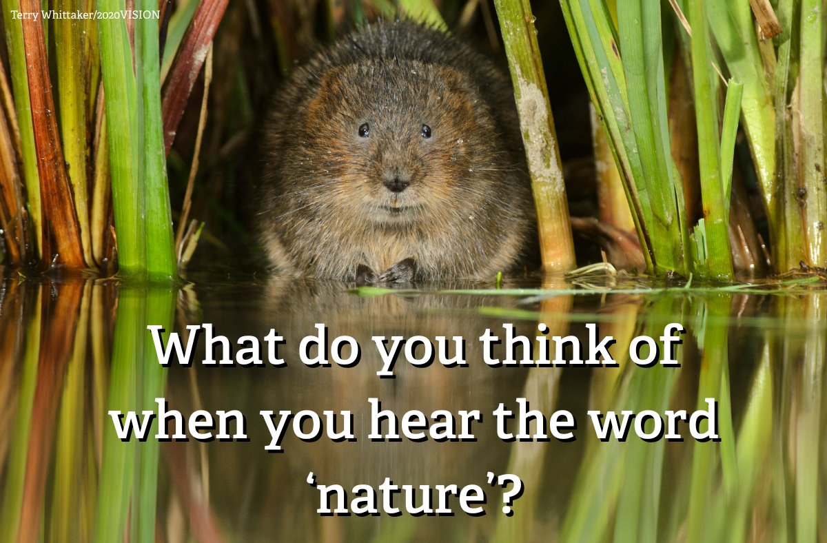 Leaf your thoughts with us 🍃

Take The Great Big Nature Survey and help us understand how the UK connects with nature. Every opinion helps us see the bigger picture.

Have your say today 👉
wildlifetrusts.org/great-big-natu…