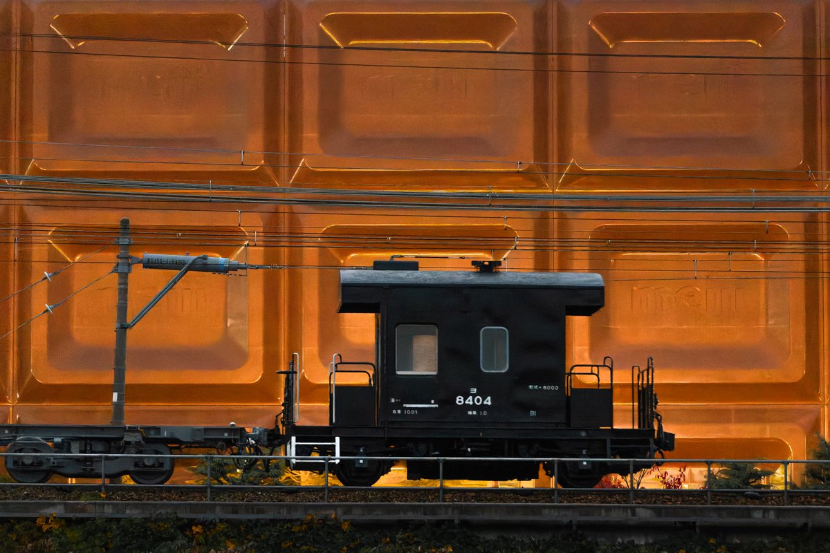 とんちゃん (@c0FpaILJPG7ipyC) / Posts / X