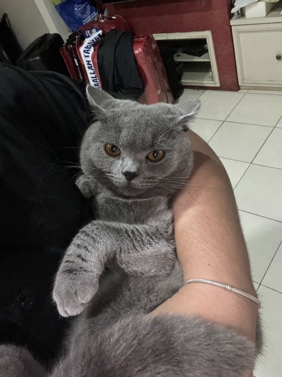 MKashira's tweet photo. Miss you Kiko please comeback home ya https://t.co/ETTRVgudXI