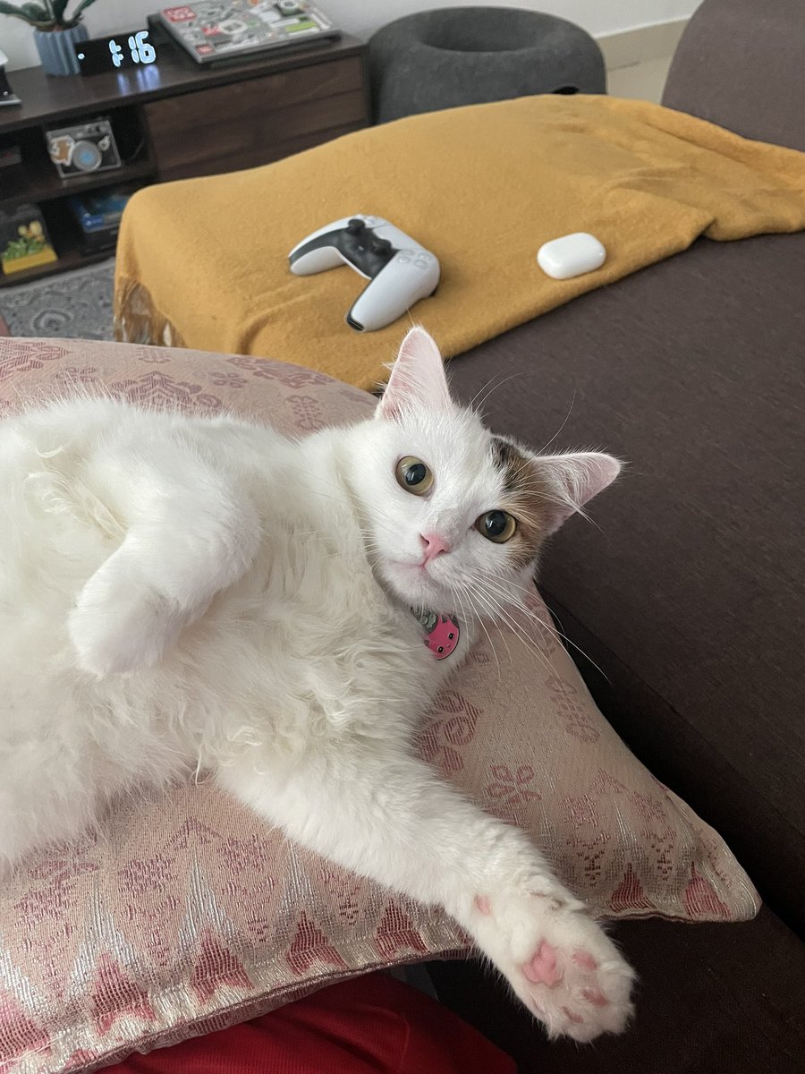 Tuan Haji Habuk &amp; Hajjah Rabbit