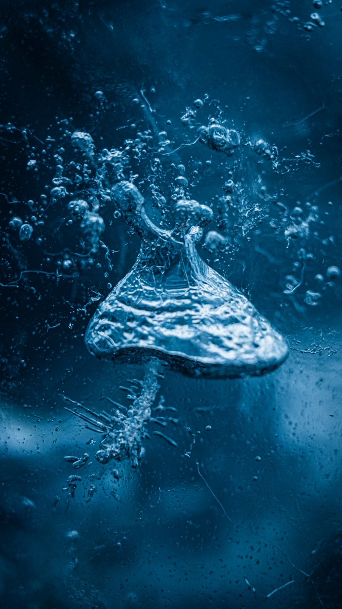 Guillaume_m_k's tweet image. Gm 

I turned a single trapped air bubble in glacier ice into a whole alien ecosystem. 

CryoFunghus is a macro photograph from deep inside an Icelandic glacier. Pressurised air bubble frozen into the shape of a mushroom, like a tiny organism caught mid-breath. 

It’s part of my…