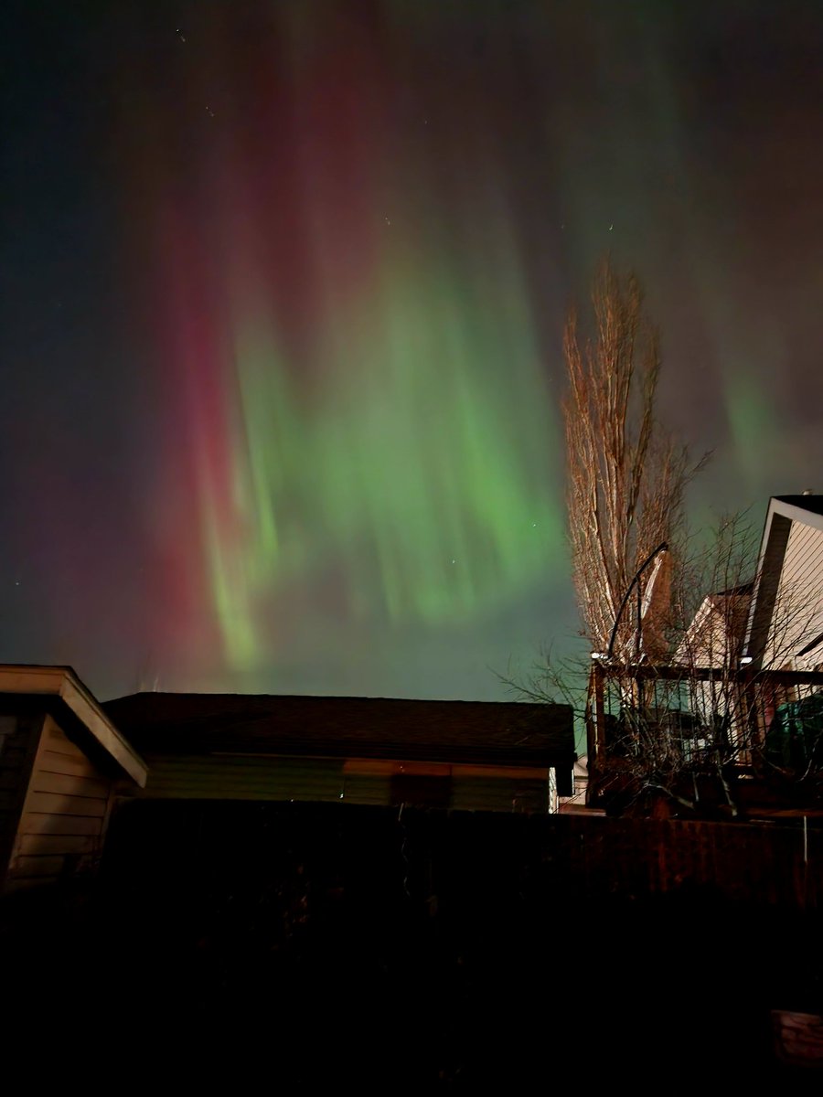 Karen Hanson 🌱 tweet media