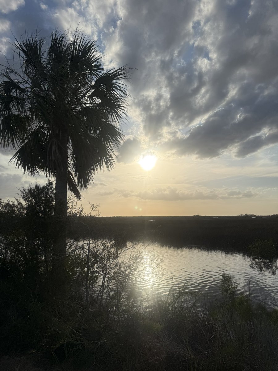 Good morning!! Happy Thursday!! Have a great day!! 🙏☕️❤️💪