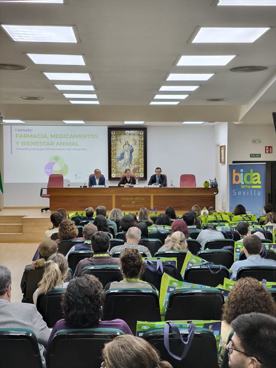 Delegación de Salud y Consumo en Sevilla tweet media