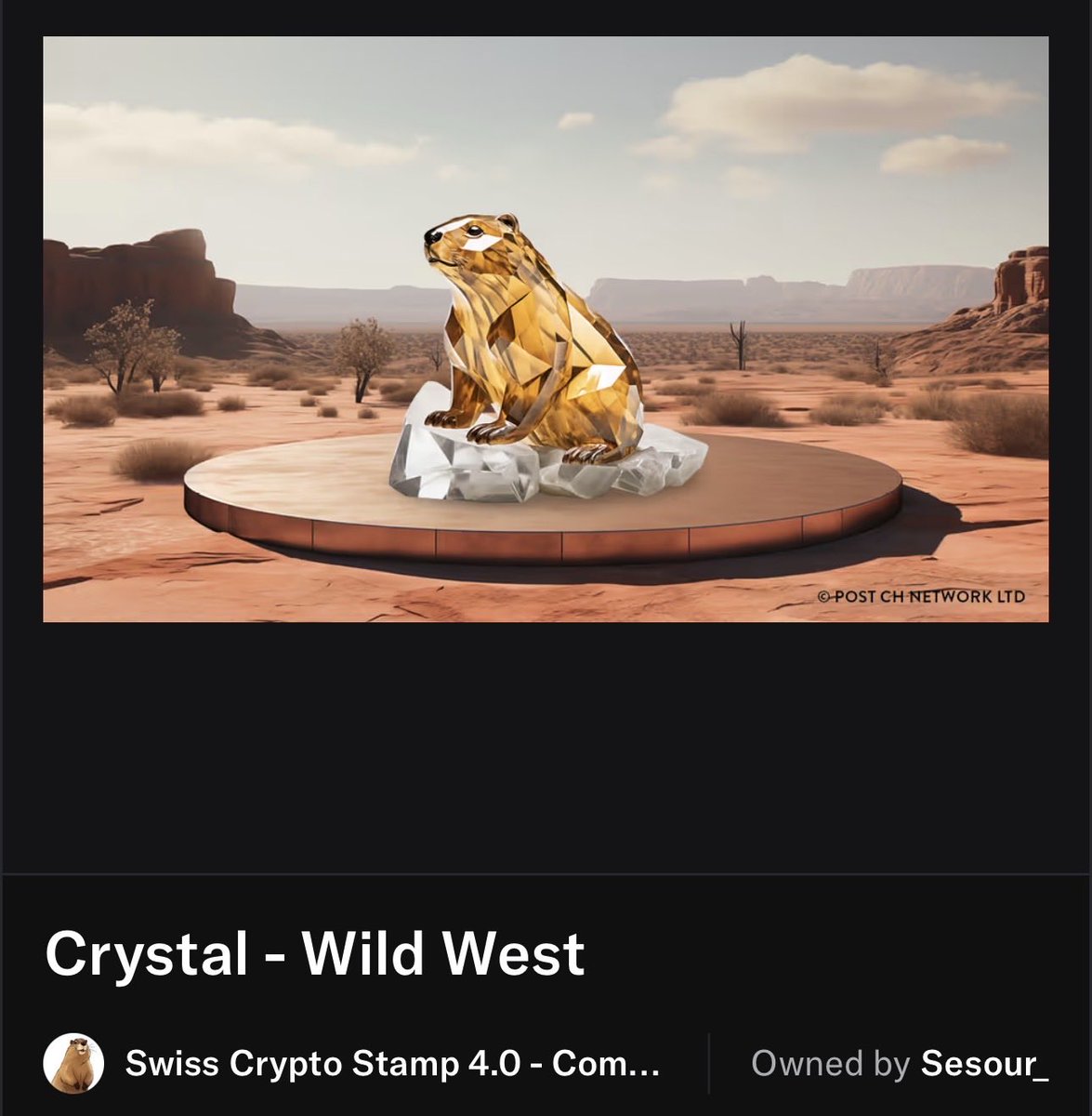 Sesour 🌏 tweet media