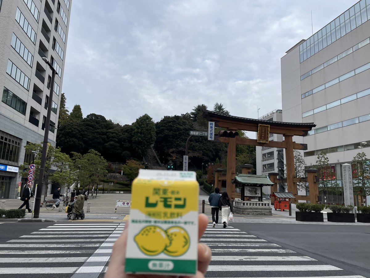 今日は宇都宮へ🥟

餃子像と駅を撮影…したけど駅舎が工事中…
これはこれで貴重ですね！

みんみんで焼餃子と水餃子を注文
宇都宮は水餃子も食べられるから良き！

宇都宮城🏯と二荒山神社⛩️
レモン牛乳を添えて🍋

JREポイントでお得にグリーン車利用
遠出はしたけど節約旅です😁

#宇都宮
#餃子