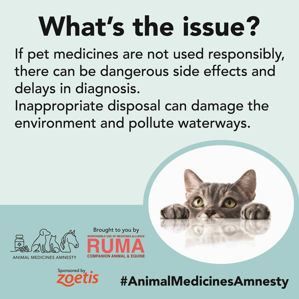 RUMA CA&E tweet media