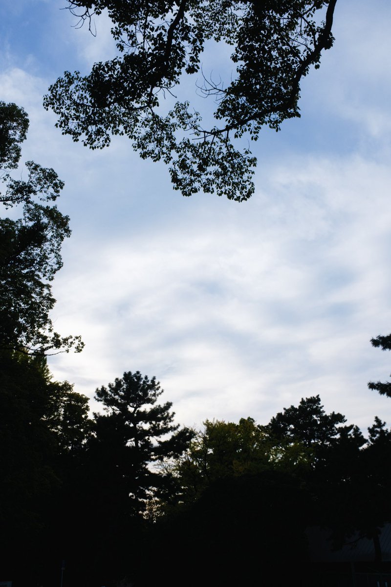 伏見さくら (@gogo2501) on Twitter photo 