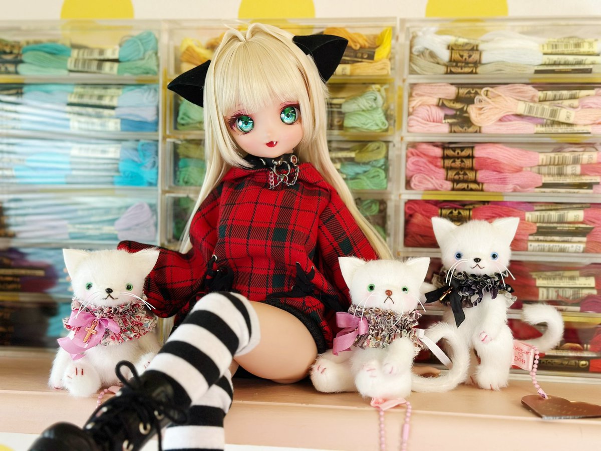 もえたま (@Moetama_DD) / Posts / X