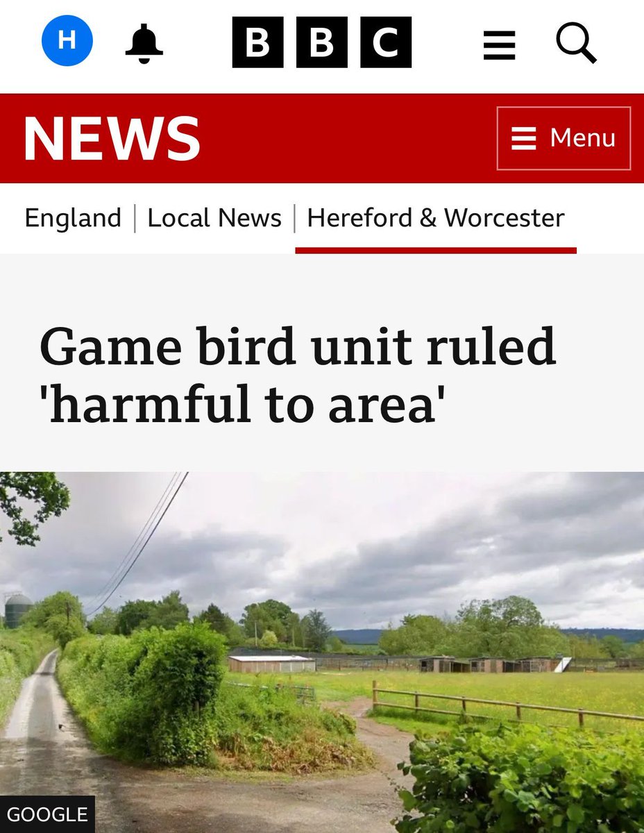 End Bird Shooting tweet media
