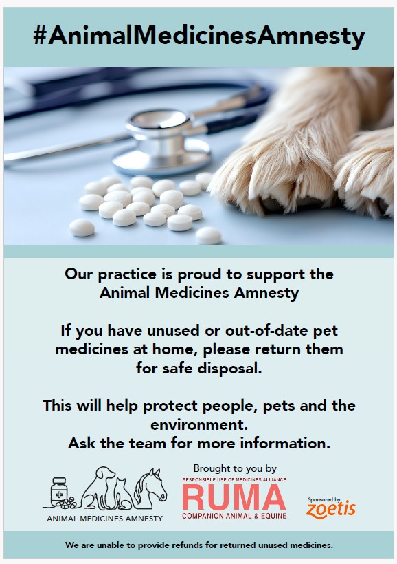 RUMA CA&E tweet media