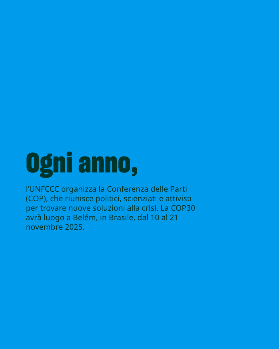 humaneworldita's tweet image. Forse hai sentito parlare della COP30. Ma perché dovrebbe importarti? Sfoglia le slide per saperne di più.
⁣
#COP30 #ClimateAction #Sustainability #PlantBased #AnimalWelfare #FarmAnimals #ClimateChange #Belém2025 #GlobalGoals