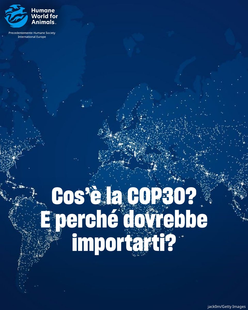 humaneworldita's tweet image. Forse hai sentito parlare della COP30. Ma perché dovrebbe importarti? Sfoglia le slide per saperne di più.
⁣
#COP30 #ClimateAction #Sustainability #PlantBased #AnimalWelfare #FarmAnimals #ClimateChange #Belém2025 #GlobalGoals