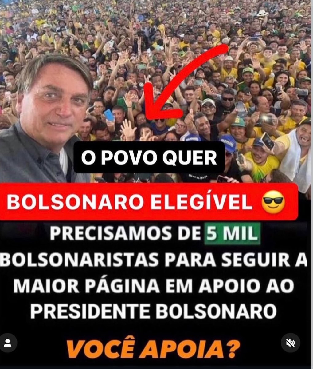 BOLSONARO LIVRE 🇧🇷 tweet media